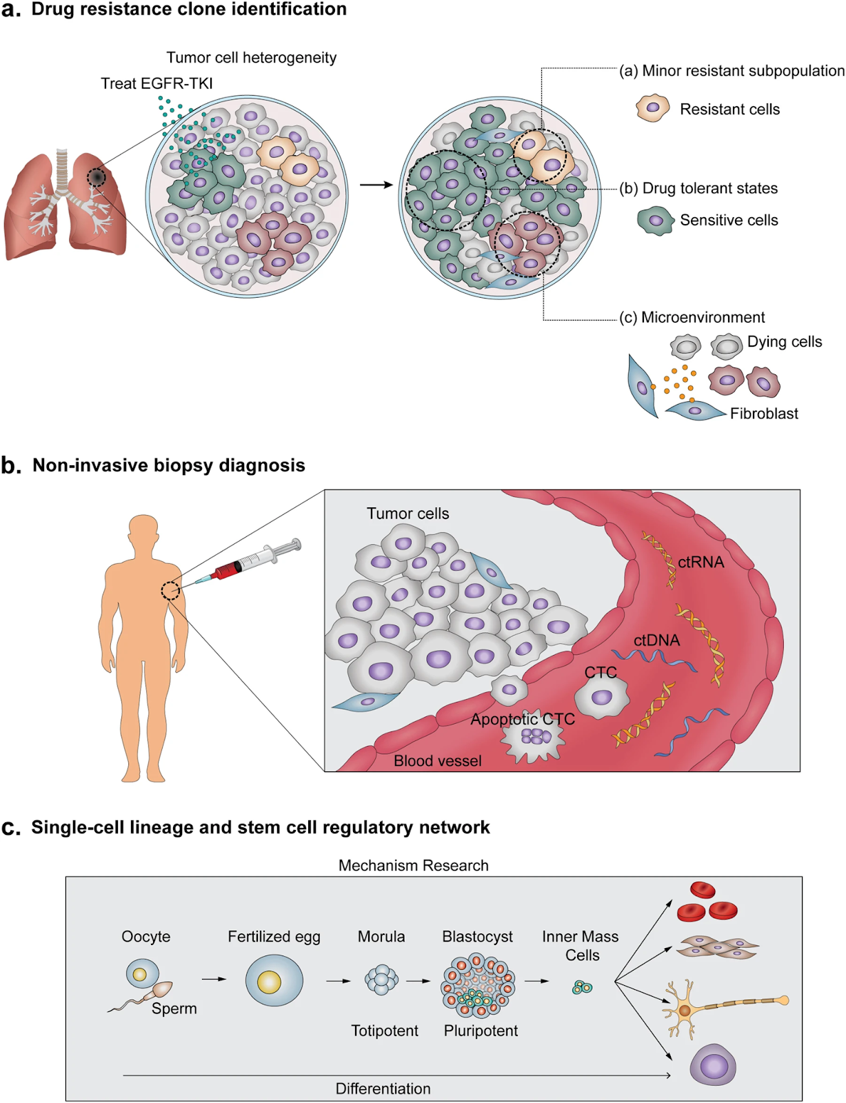 Numerous aspects of scRNA-seq applications.