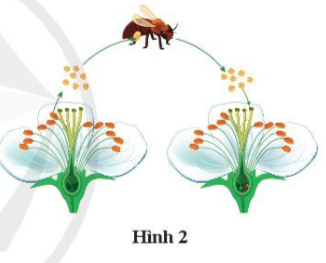 BÀI TẬP CHỦ ĐỀ 9, 10, 11, 12