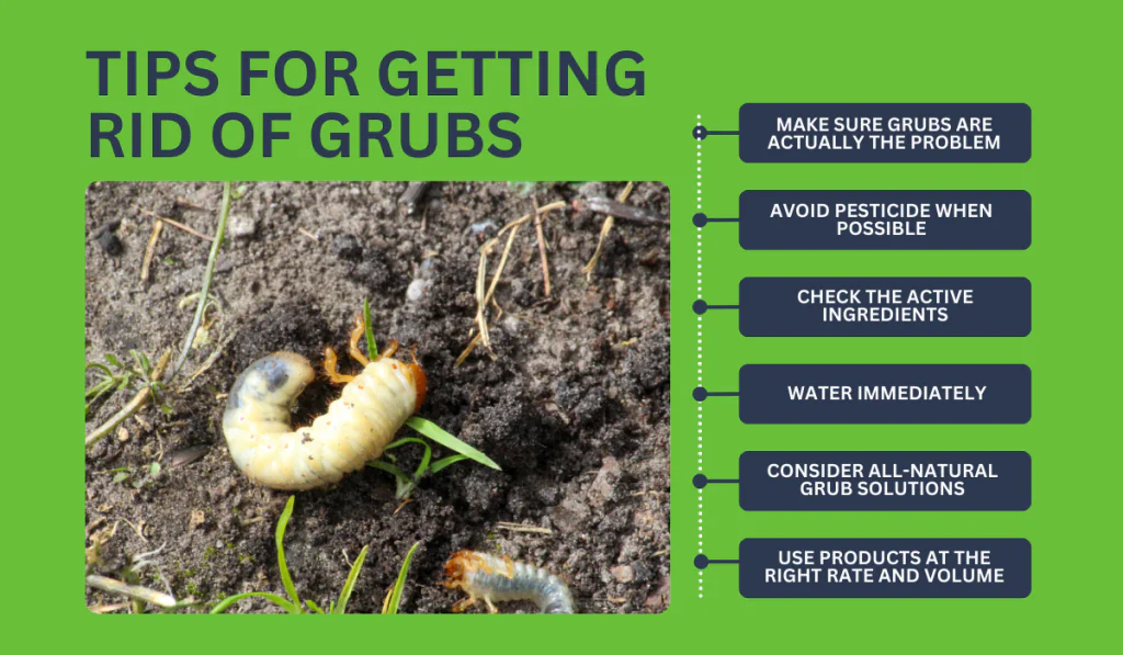 When To Apply Grub Control