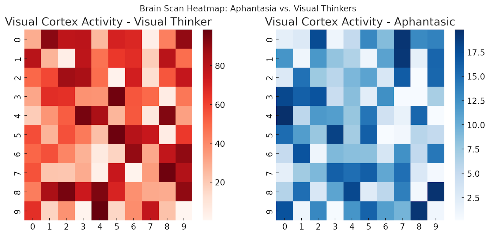 Brain scan heatmap comparing visual cortex activity in visual thinkers vs. aphantasics for research analysis.