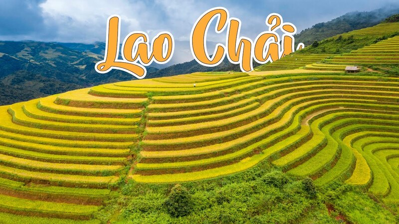 Khám phá ruộng bậc thang bản Lao Chải SaPa.