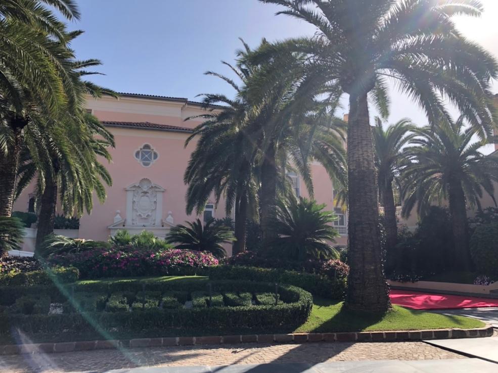 A building with palm trees and a red carpet

Description automatically generated