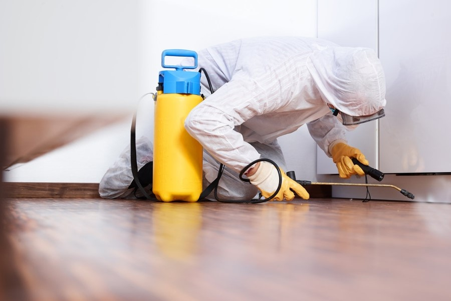 5 Benefits of Hiring a Professional Pest Control Company