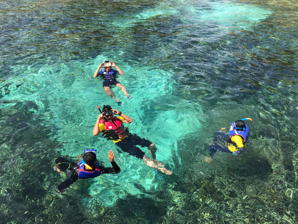 Koh Kood’s Underwater Wonders