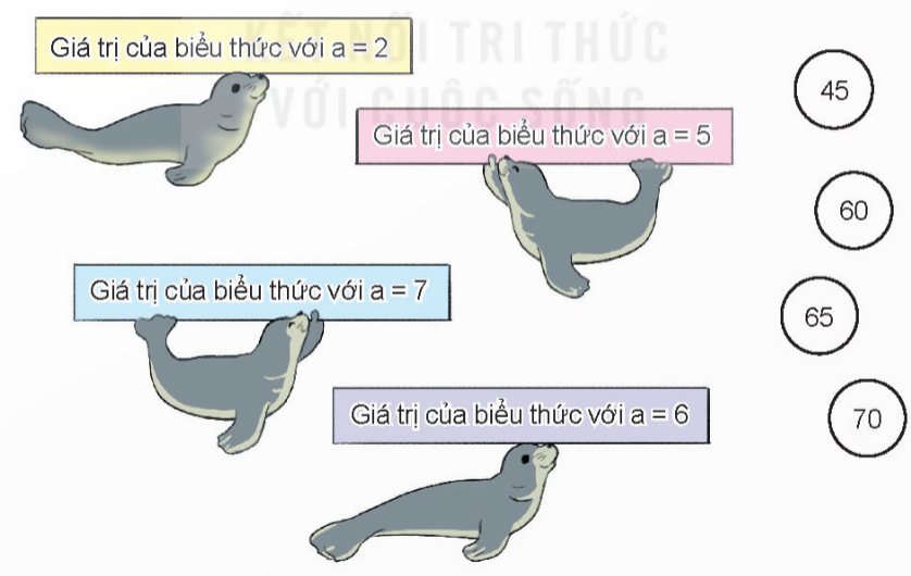 BÀI 4: BIỂU THỨC CHỨA CHỮ