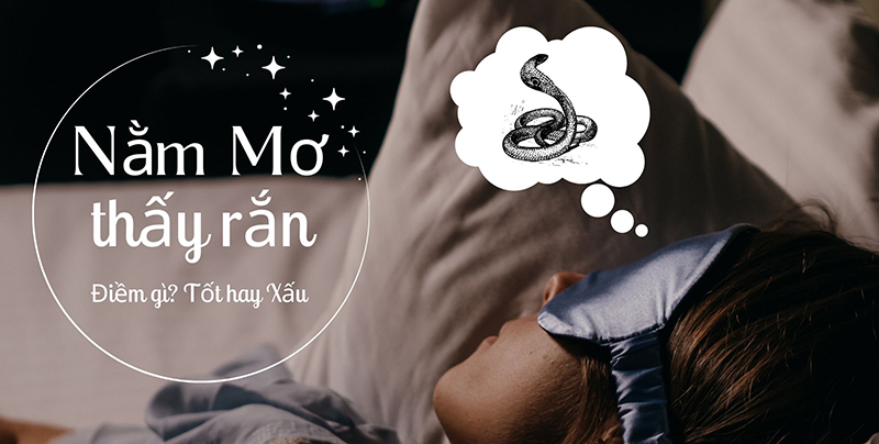 Con Rắn Số Mấy? Luận Giải Chi Tiết Giấc Mơ Con Rắn