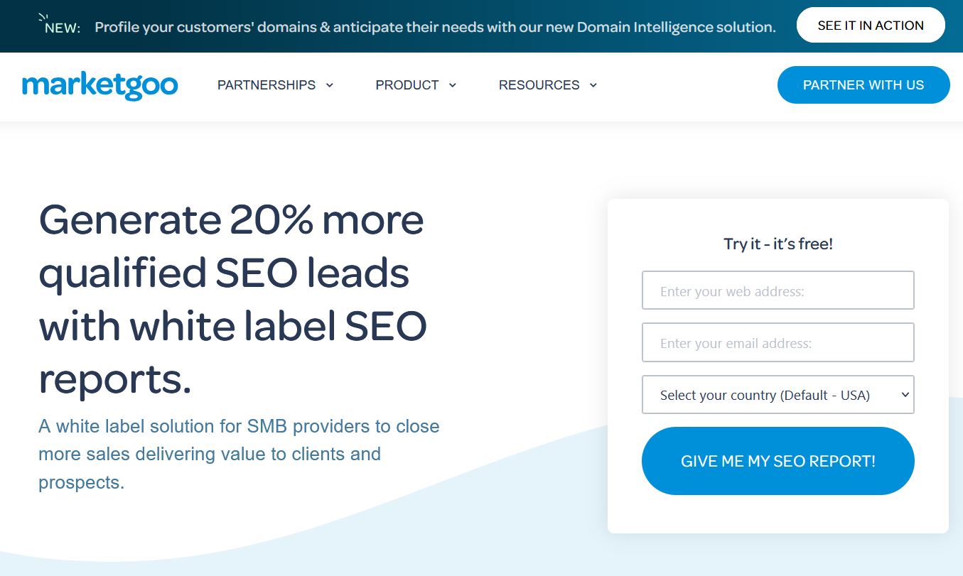 marketgoo free website audit