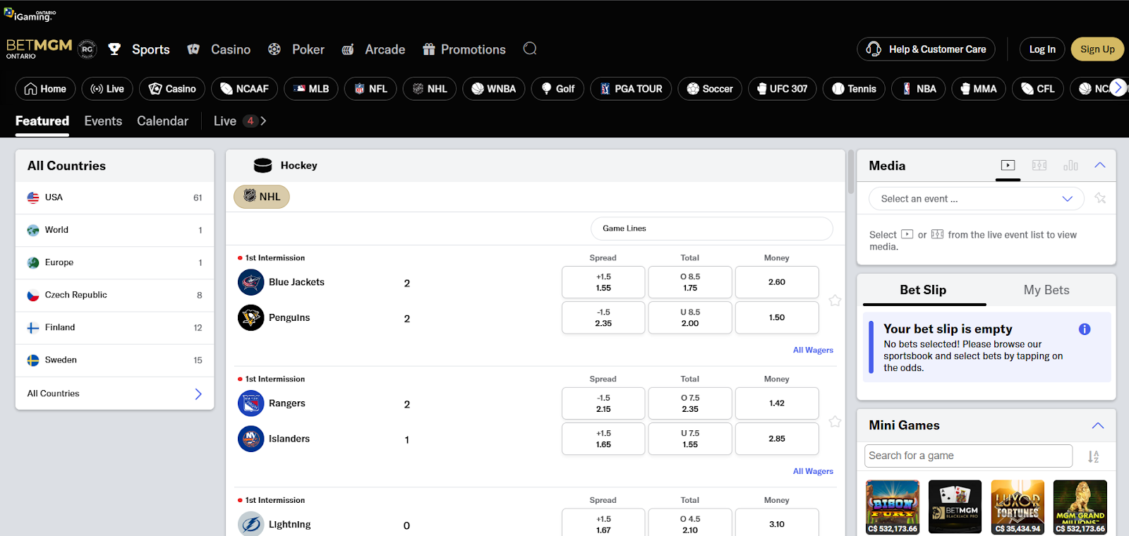BetMGM NHL Betting Sites