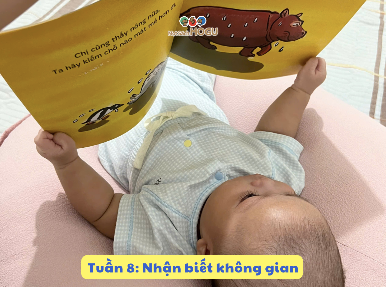 Từng giai đoạn của Wonder Week: Tuần 8