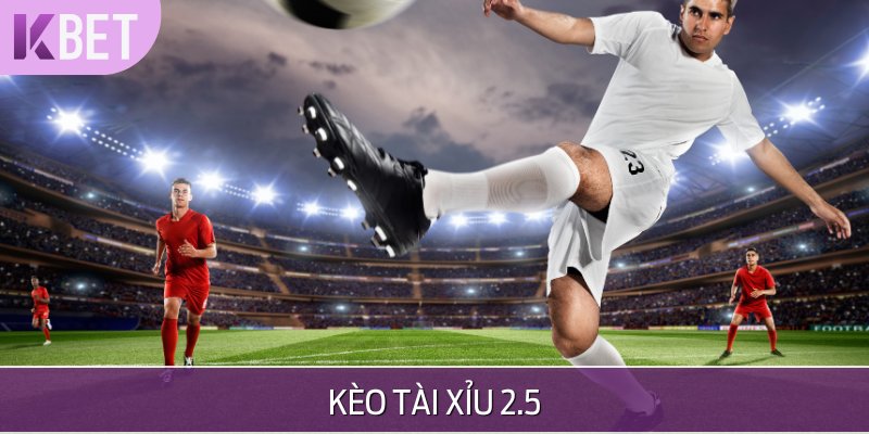 Kèo TX 2.5