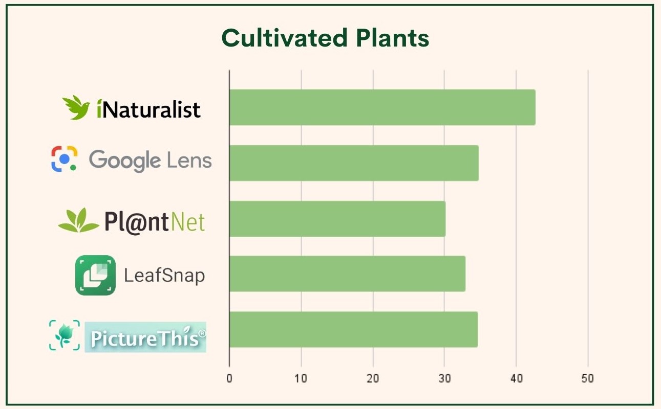 cultivated native