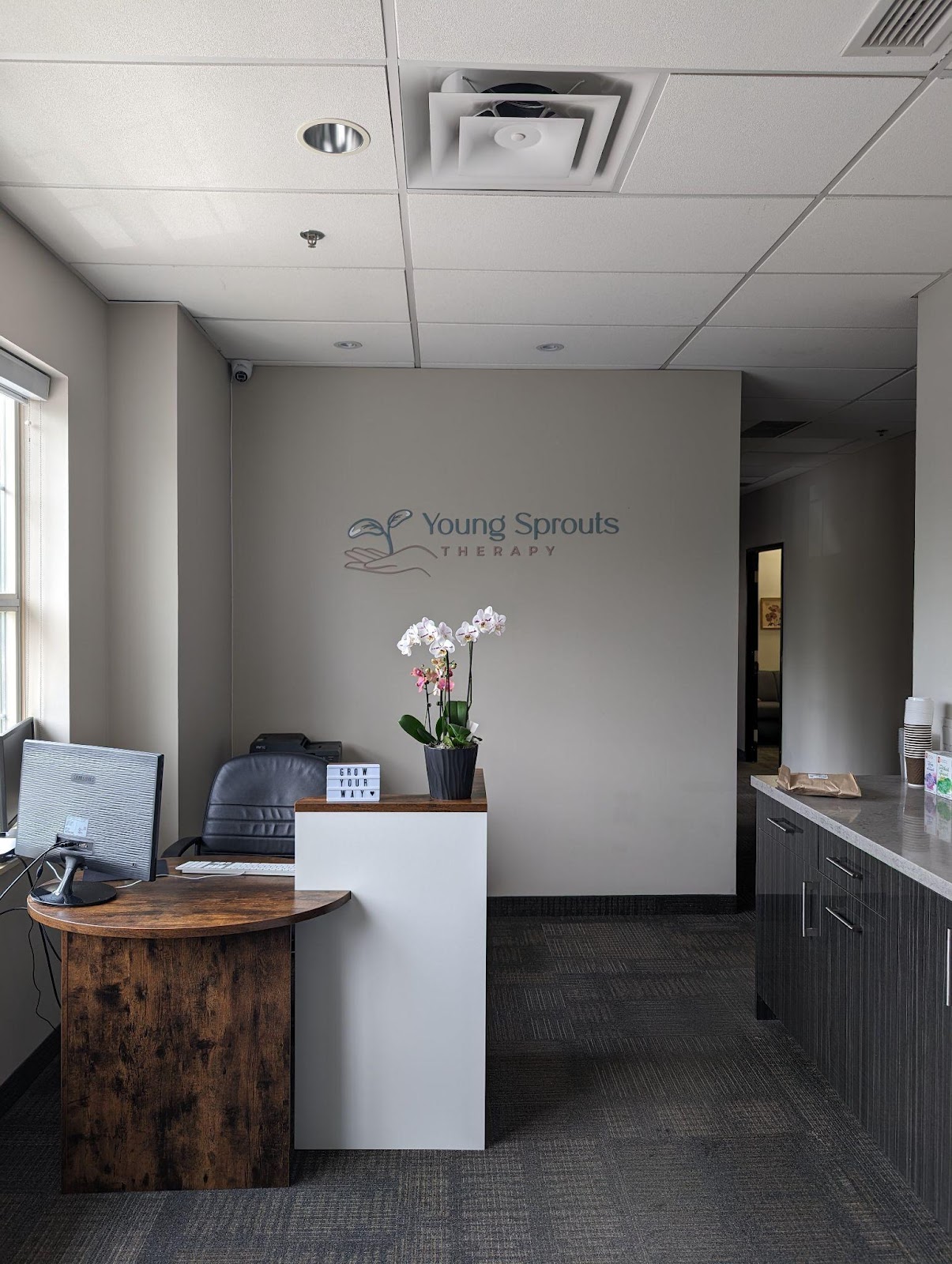 Vaughan therapy office