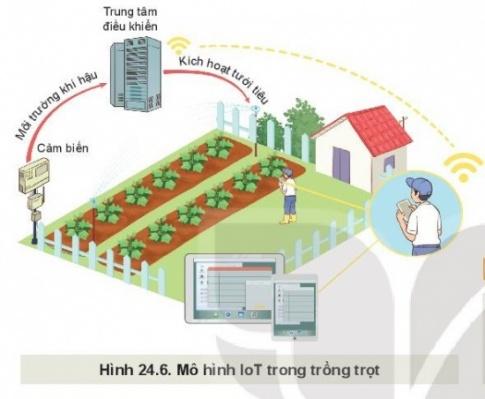 BÀI 24: MỘT SỐ CÔNG NGHỆ CAO TRONG TRỒNG TRỌT