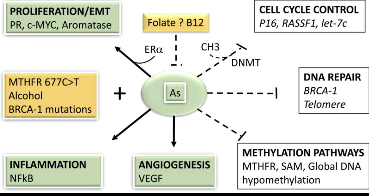 Diagram

Description automatically generated