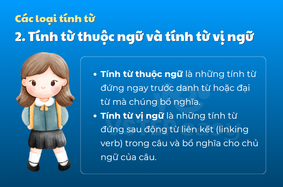 Tính từ thuộc ngữ và tính từ vị ngữ