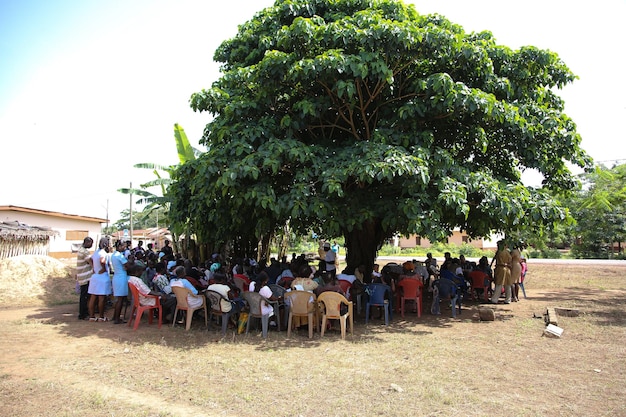 Village meeting under tree