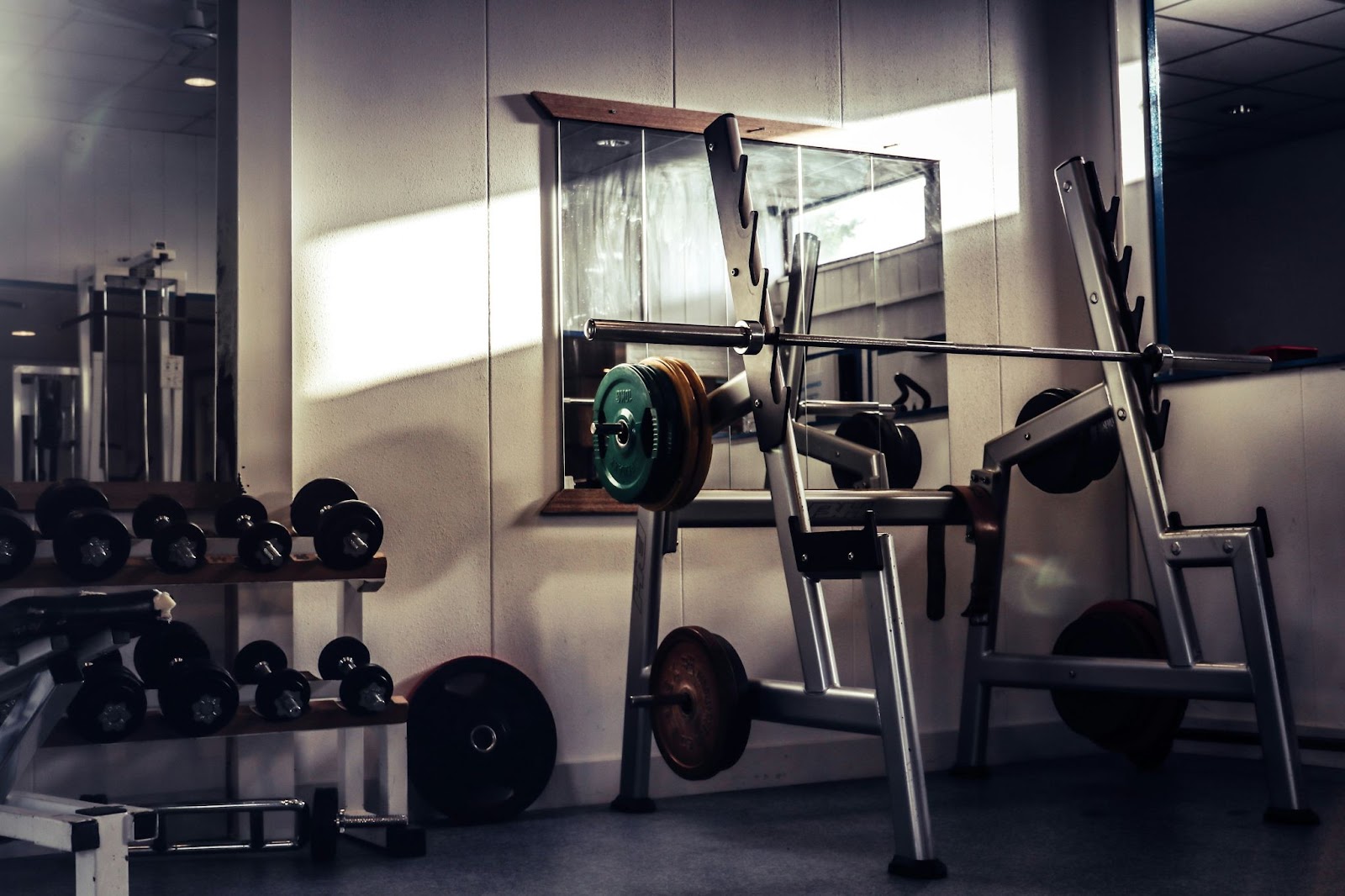 Fitness Routine