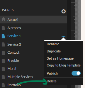 Pour supprimer, dupliquer ou renommer une page Showit, cliquer sur les trois petits points à côté du nom de la page.