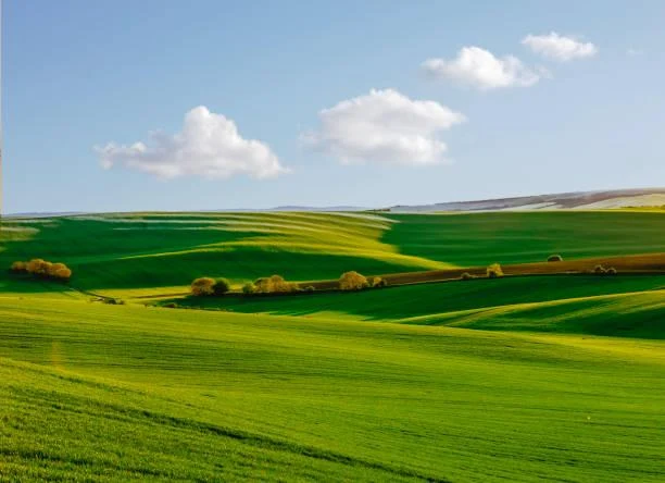 12 Mountain Peaks Framed by Lush Forests, mountain peak, lush forest, nature, forest, landscape, forested slopes, alpine view