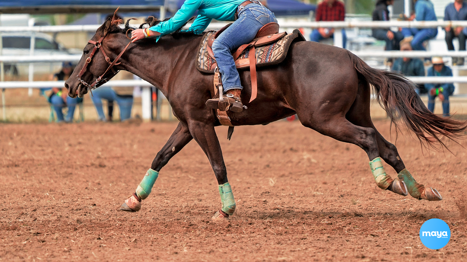 National Western Stock Show