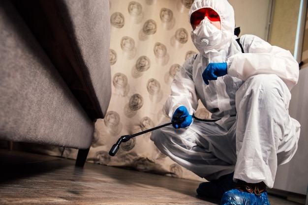 Black mold removal