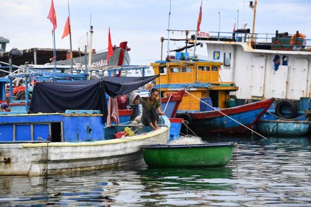 Việt Nam lo ngại bị thẻ đỏ của EU vì tình trạng IUU có sự tiếp tay của lực lượng thực thi pháp luật