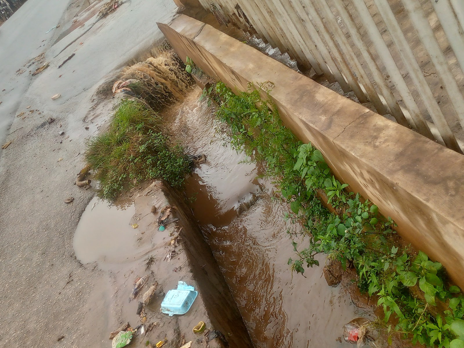 Erosion plagues Akungba Community Despite Multi-million Naira Contract 