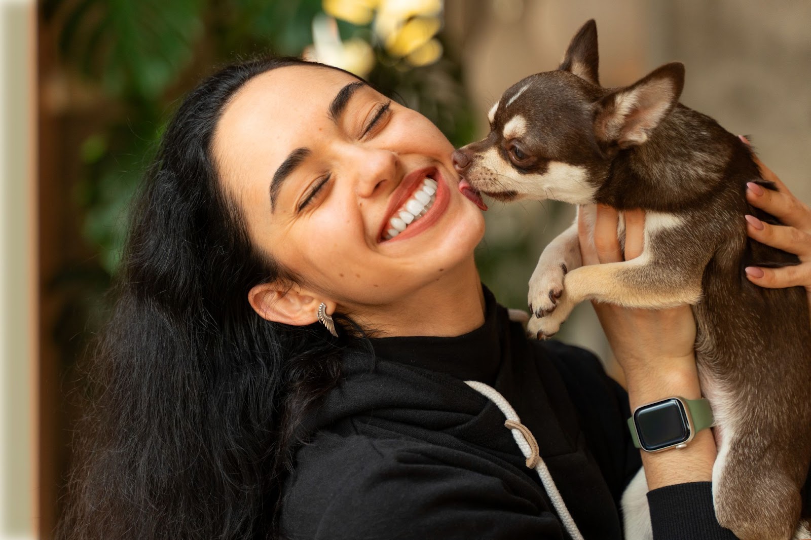 chihuahua kissing woman on the cheek