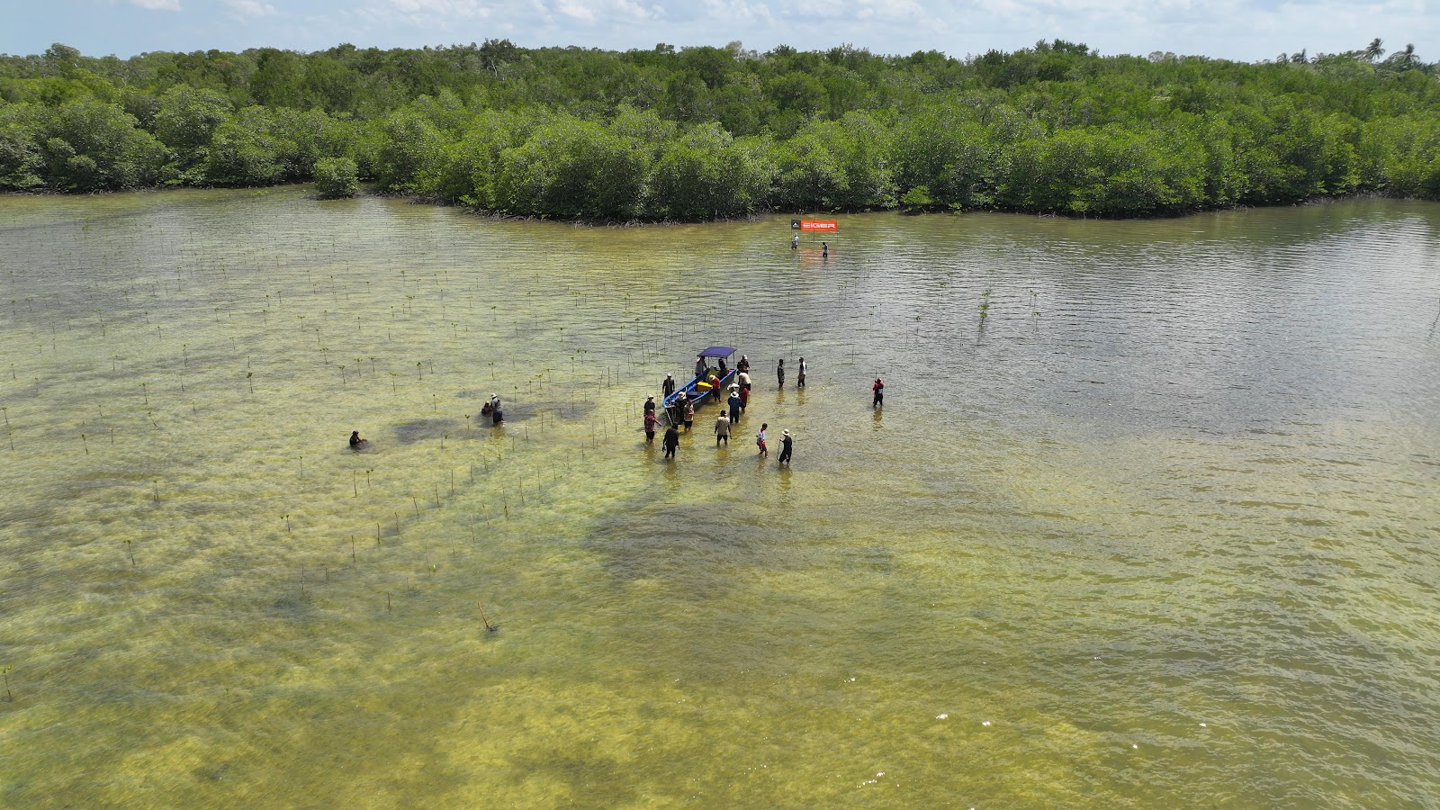 Konservasi Hutan Mangrove 