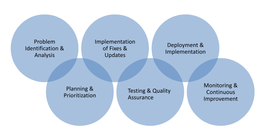 Software maintenance services and support 