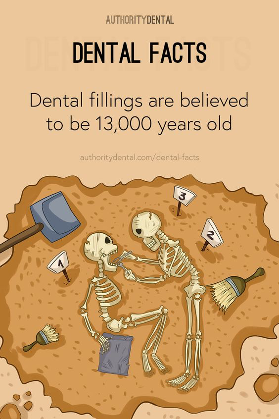 Dental Fact: Dental filings are believed to be 13000 years old