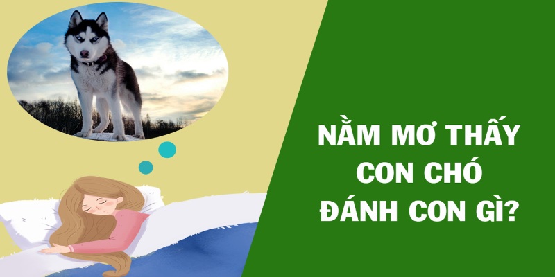 Những con số may mắn gắn liền với hình ảnh cụ thể của chú cún