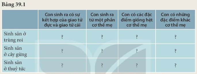 BÀI 39. SINH SẢN VÔ TÍNH Ở SINH VẬT MỞ ĐẦUCâu hỏi: Những ‘nhành cây’ với màu sắc rực rỡ trong hình bên là các tập đoàn san hô gồm hàng nghìn cá thể dính liền với nhau, được tạo thành nhờ hình thức sinh sản vô tính. Vậy sinh sản vô tính là gì?Đáp án chuẩn:Sinh sản vô tính là hình thức sinh sản không có sự kết hợp giữa giao tử đực và giao tử cái, cơ thể san hô con được tạo thành từ một phần của cơ thể mẹ.I. SINH SẢN LÀ GÌ?Câu hỏi: Quan sát hình 39.1 kết hợp kiến thức đã biết, hãy nêu khái niệm sinh sản và lấy ví dụĐáp án chuẩn:Sinh sản là quá trình tạo ra những cá thể mới, đảm bảo sự phát triển liên tục của loài. VD: Gà đẻ trứng.II. SINH SẢN VÔ TÍNH1. Khái niệmCâu 1: Quan sát hình 39.2 và 39.3, 39.4 kết hợp đọc thông tin trong mục II, đánh dấu X vào ô phù hợp theo mẫu bảng 39.1Đáp án chuẩn: Con sinh ra có sự kết hợp của giao tử đực và giao tử cáiCon sinh ra từ một phần cơ thể mẹCon có các đặc điểm giống hệt cơ thể mẹCon có những đặc điểm khác cơ thể mẹSinh sản ở trùng roi xx Sinh sản ở cây gừng xx Sinh sản ở thủy tức xx Câu 2: Dựa vào kết quả ở câu 1, em hãy nêu các đặc điểm của sinh sản vô tínhĐáp án chuẩn:Con sinh ra không có sự kết hợp của giao tử đực và cái, cơ thể con được tạo thành từ một phần cơ thể mẹ, con cái sinh ra giống nhau và giống cá thể mẹ.2. Các hình thức sinh sản vô tính ở thực vậtCâu hỏi: Hãy kể tên một số loài cây khác có khả năng sinh sản bằng rễ, thân, lá mà em biếtVì sao người ta gọi hình thức sinh sản từ rễ, thân, lá là sinh sản sinh dưỡng?Đáp án chuẩn:- Sinh sản bằng rễ: gừng, cỏ mần trầu, cây dong ta,…- Sinh sản bằng thân: sắn, khoai lang, rau má, rau ngót,…- Sinh sản bằng lá: cây thuốc bỏng, cây càng cua, cây bèo cái, cây sam nhật,…- Gọi là sinh sản sinh dưỡng vì ở hình thức này cơ thể mới được hình thành từ cơ quan sinh dưỡng từ của cơ thể mẹ (thân, rễ, lá).3. CÁC HÌNH THỨC SINH SẢN VÔ TÍNH Ở ĐỘNG VẬTCâu hỏi: Đọc thông tin mục 3 và hoàn thành bản theo mẫu bảng 39.2Đáp án chuẩn:Đặc điểmHình thứcsinh sảnGiốngKhácNảy chồiKhông có sự kết hợp của giao tử đực và giao tử cái, con sinh ra giống hệt nhau và giống hệt mẹ.“Chồi” được mọc ra từ cơ thể mẹ, lớn dần lên và tách ra khỏi cơ thể mẹ thành cơ thể mới hoặc vẫn dính với cơ thể mẹ tạo thành tập đoàn.Phân mảnhMỗi mảnh nhỏ riêng biệt của cơ thể mẹ phát triển thành một cơ thể mới hoàn chỉnhTrình sảnTế bào trứng không thụ tinh phát triển thành cơ thể mới4. Vai trò và ứng dụng của sinh sản vô tính