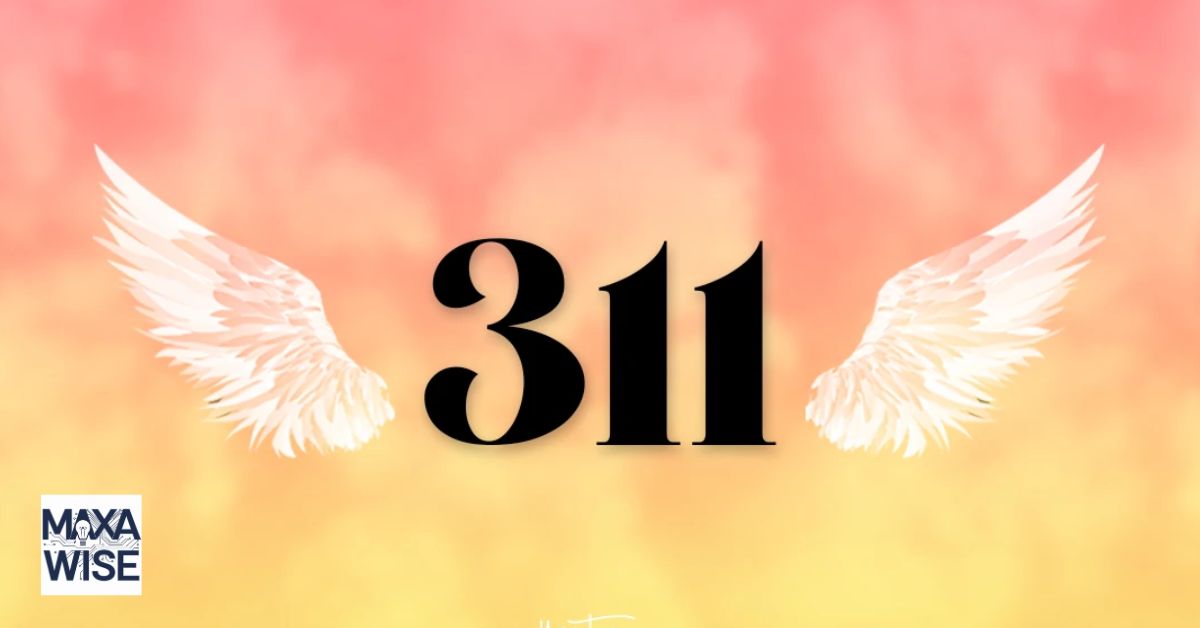 311 Meaning