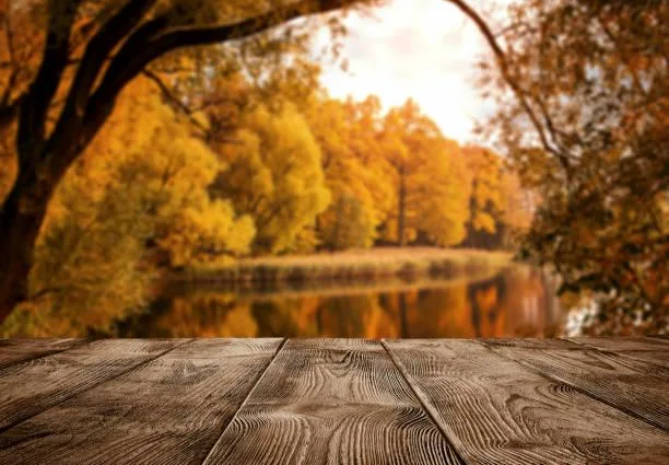 15 Timeless Photos of the Natural World, timeless nature, forever beauty, nature, landscape, classic landscapes, eternal scenes