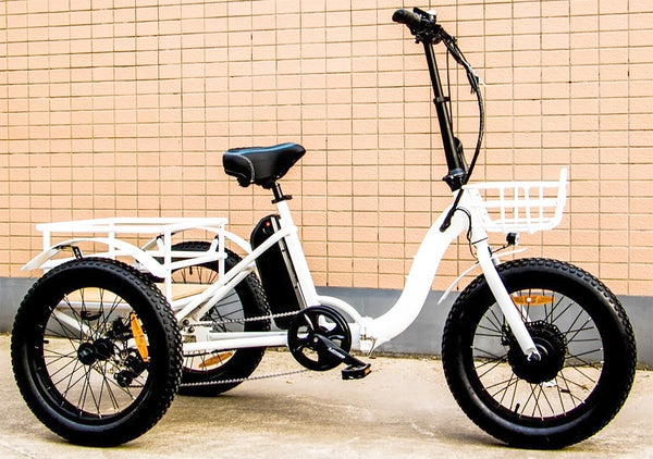 eunorau-trike-folding-cargo-ebike-lifestyle-2