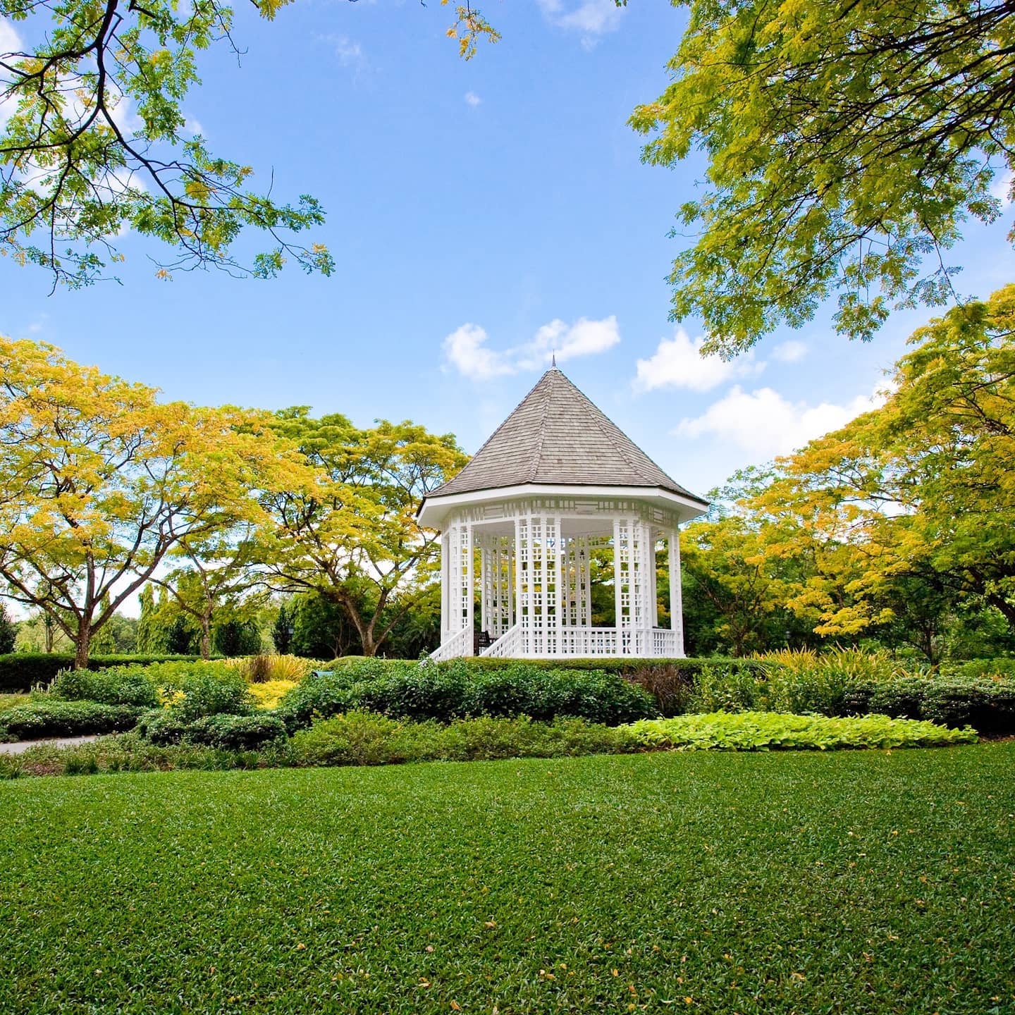 Singapore Botanical Gardens