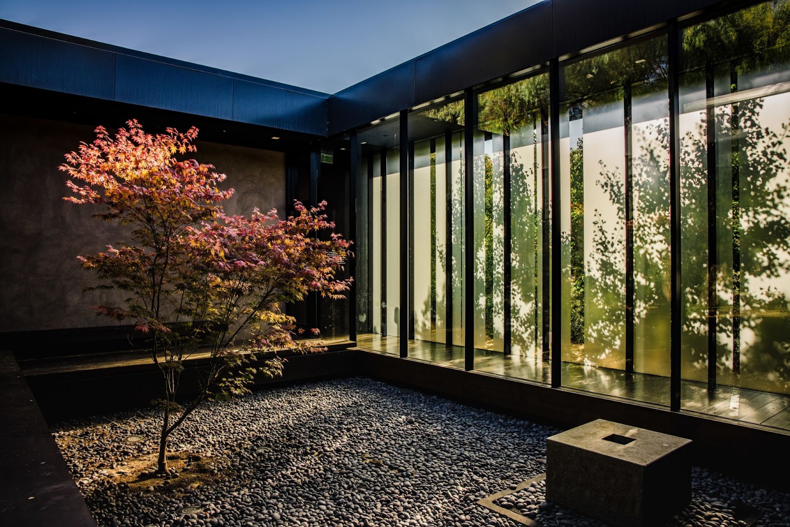 Outdoor area completely covered with beautiful plants.