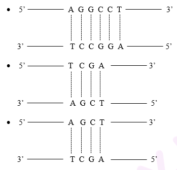 NCERT solutions class 12 biology chapter 11 - 3