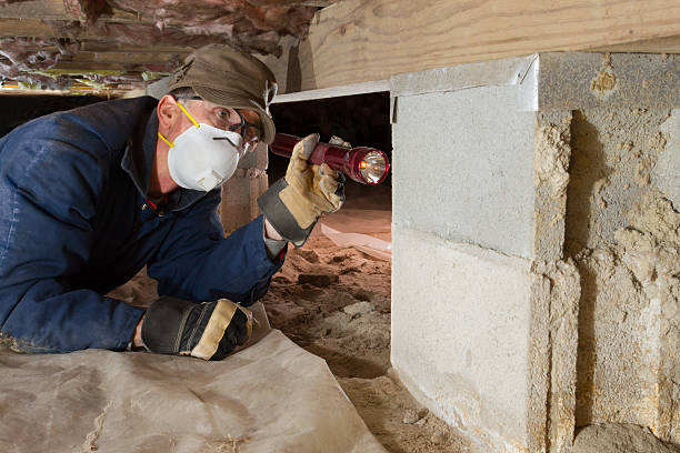 A man crawls under a house to check for termites. 