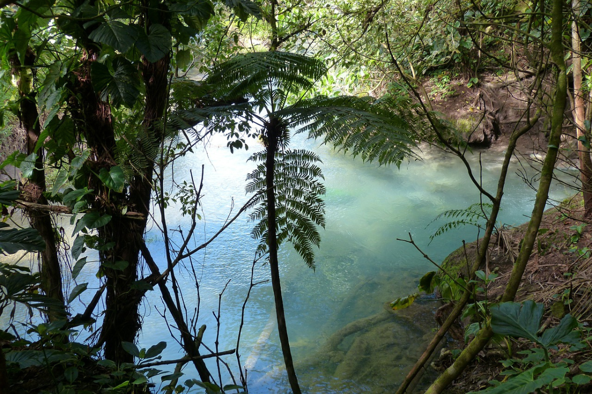 Pura Vida gardens and waterfall
