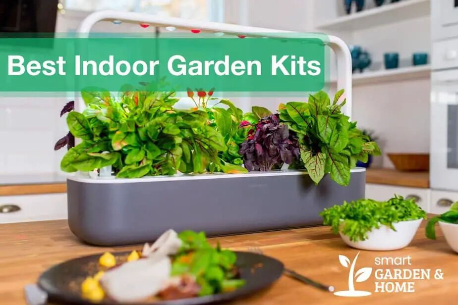 Best Indoor Garden Kits