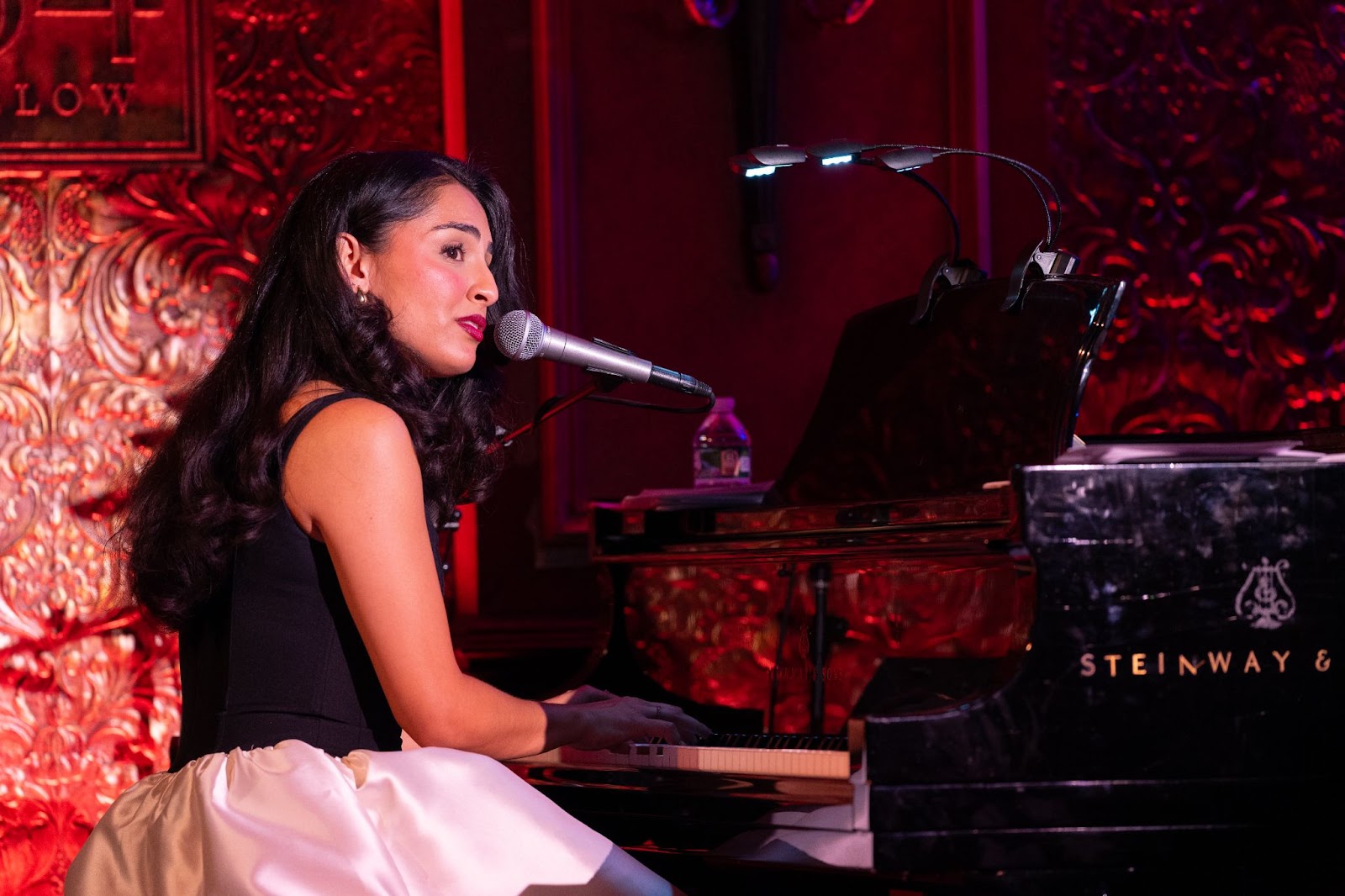 Review: Senzel Ahmady Is Ready For Broadway in LIFE OF A DROPOUT PRINCESS at 54 Below  Image