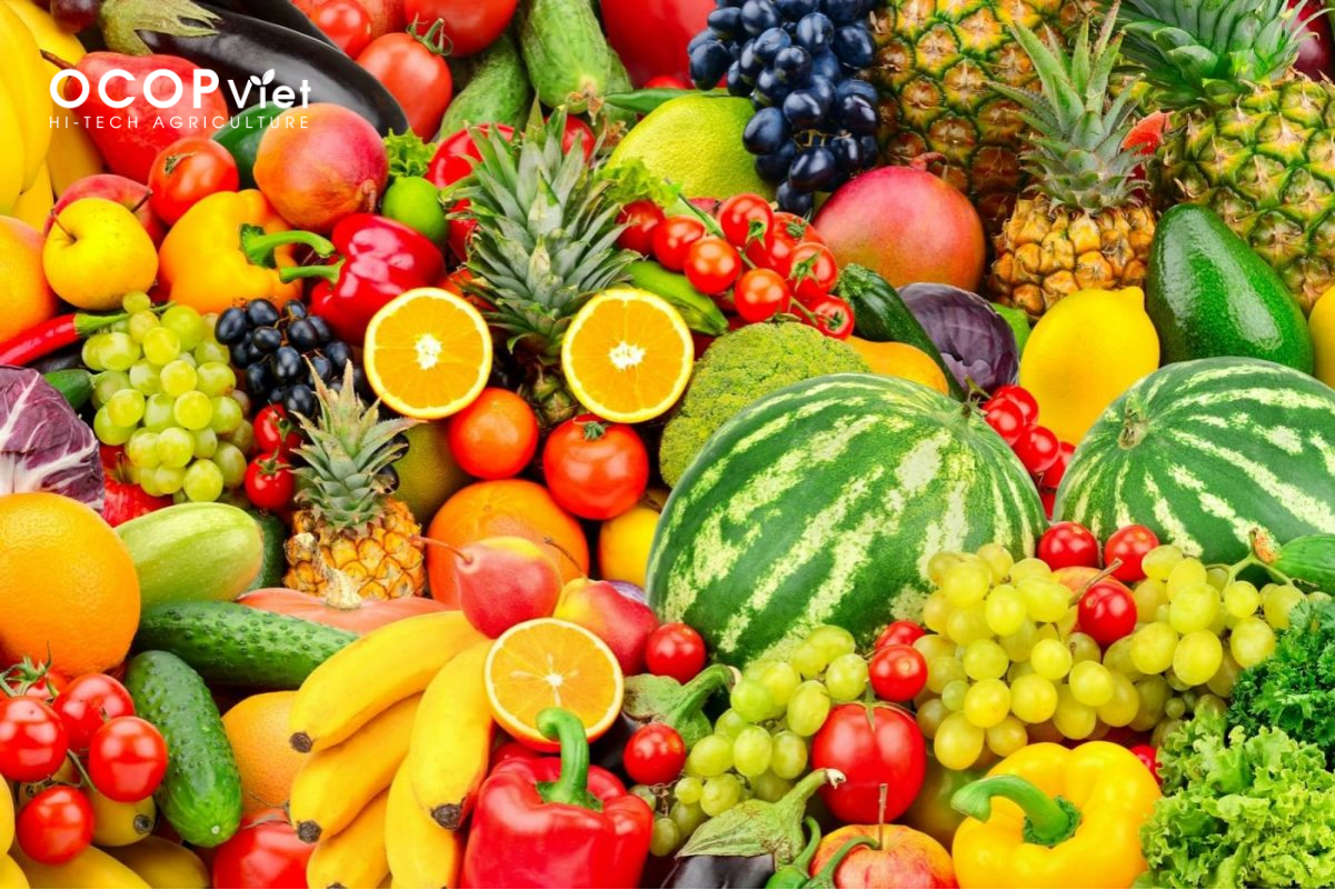 top trái cây nhiệt đới