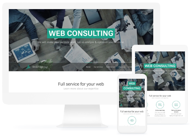 Web Consulting Website Template