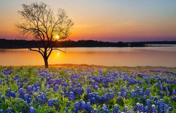 Earth’s Canvas: 20 Artistic Landscape Images, earth canvas, artistic landscapes, nature, landscape, photo art, natural expression