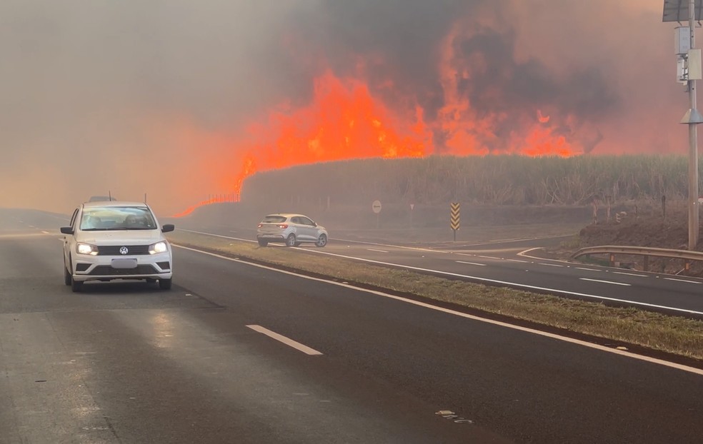 Incêndio de grandes proporções em rodovia na região de Ribeirão Preto, SP, chama atenção de motoristas — Foto: Marcelo Moraes/EPTV