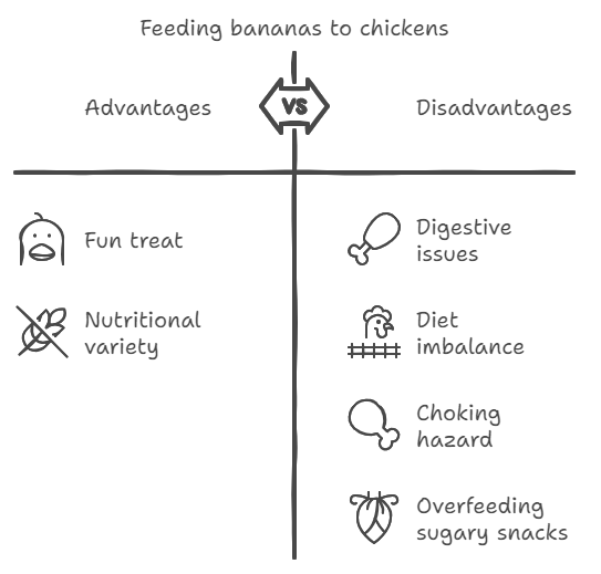 What Are the Risks of Feeding Bananas to Chickens
