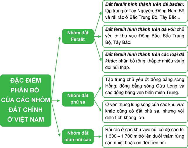 BÀI 11: ĐẶC ĐIỂM CHUNG VÀ SỰ PHÂN BỐ CỦA LỚP PHỦ THỔ NHƯỠNG 