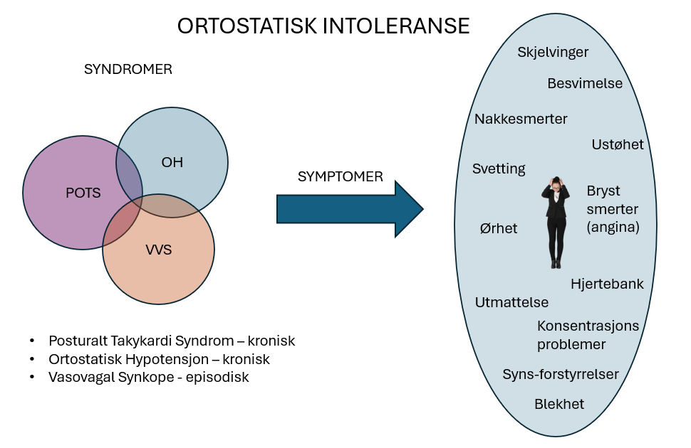 Et bilde som inneholder tekst, diagram, sirkel, skjermbilde
Automatisk generert beskrivelse